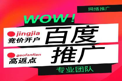 成功案例：SEM百度竞价助力企业增长